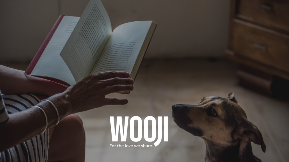 A Little More About the Dog You Love.
